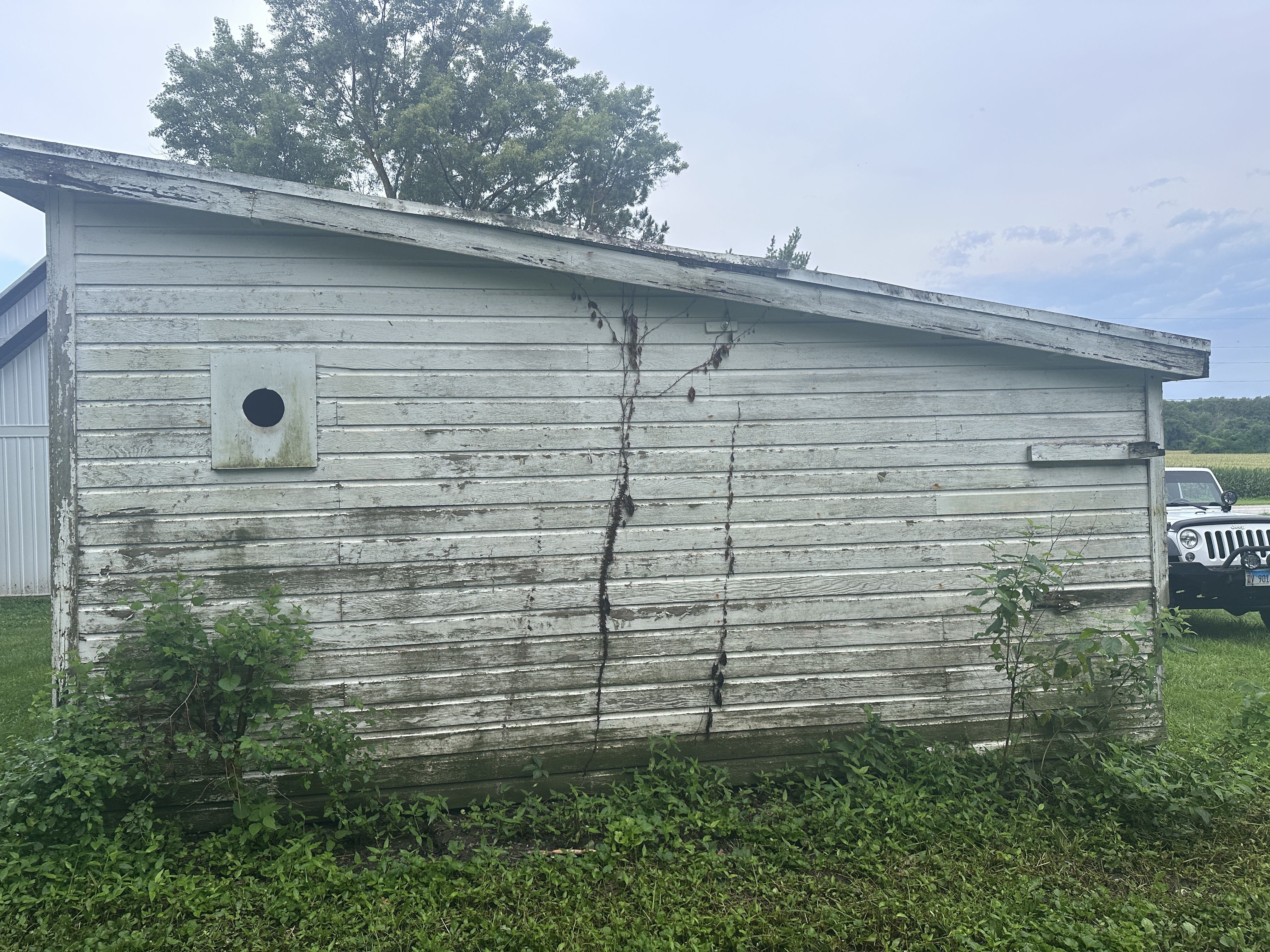 Before Weathered Outbuilding Side